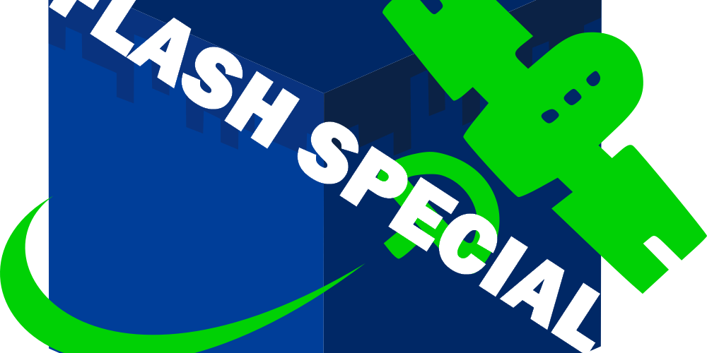 Logo Flash 1000